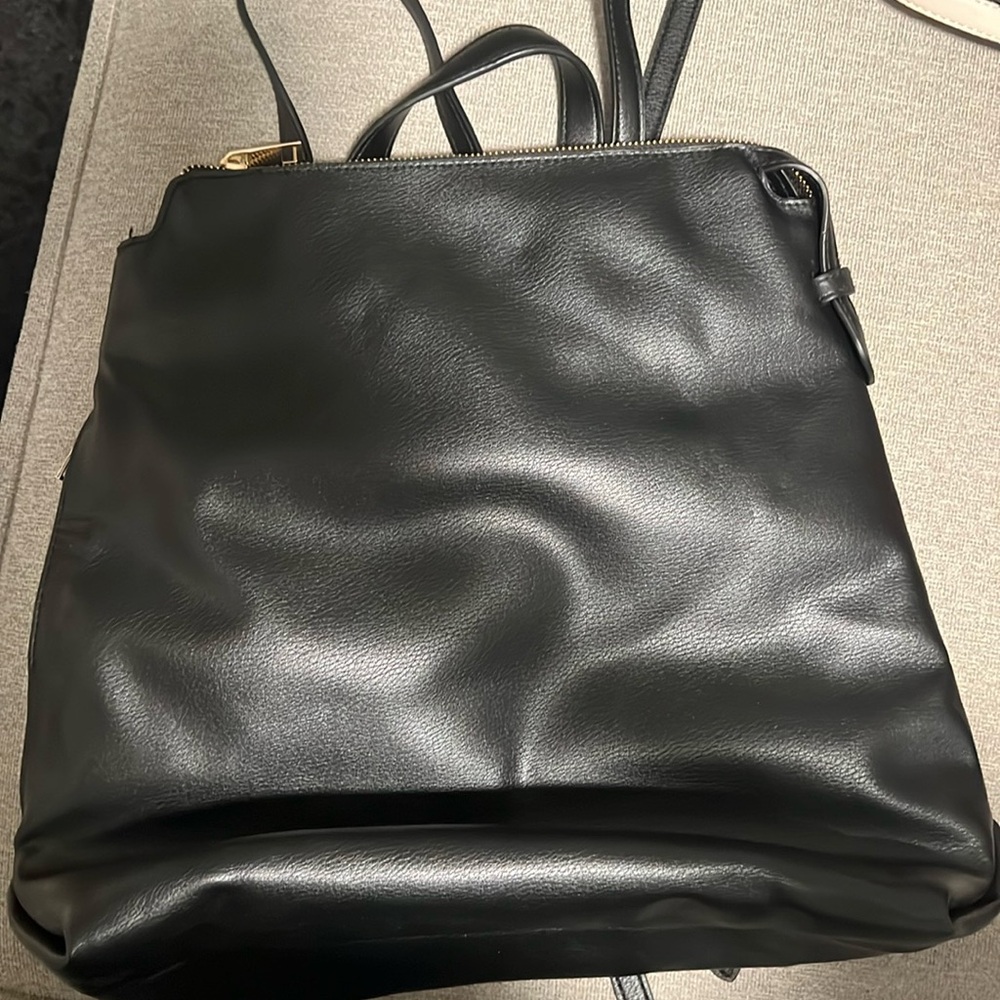 Leather back pack